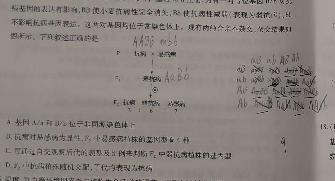 2023-2024学年贵州省高一试卷5月联考(24-497A)数学.考卷答案