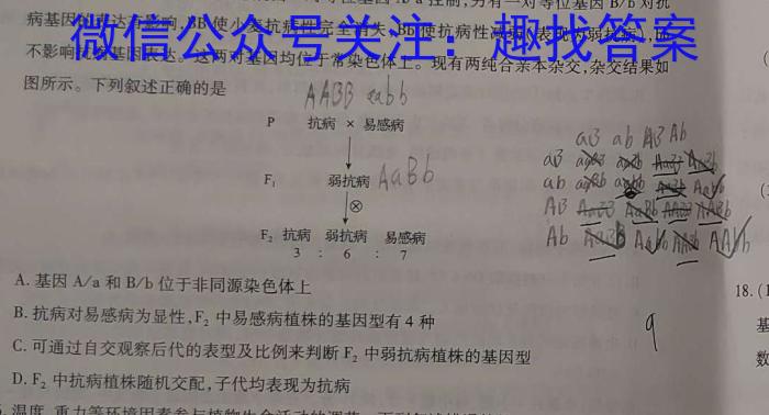 河北省石家庄市2023~2024学年度高二第一学期期末教学质量检测生物学试题答案