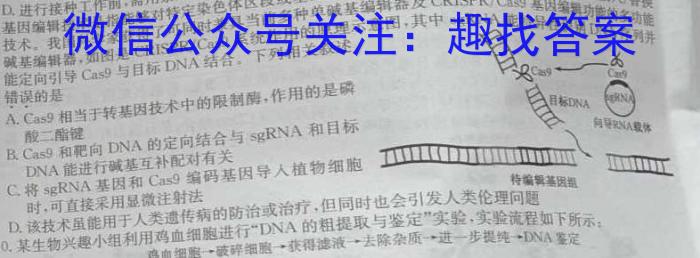 安徽省滁州市全椒县2023-2024学年度第二学期七年级期中教学质量监测试题卷数学h