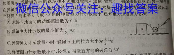 湖南天壹名校联盟·2024年上学期高一3月大联考物理试卷答案