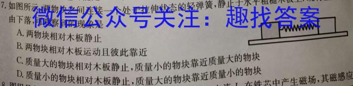 2024普通高等学校招生全国统一考试·名师原创调研仿真模拟卷(一)1物理`