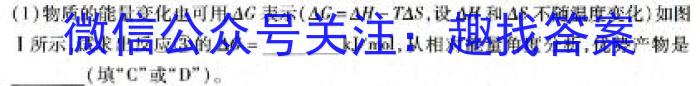 安徽省2024届九年级3月开年考试数学