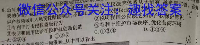 衡水金卷2024版先享卷答案信息卷 新教材卷三政治~