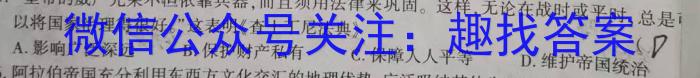 炎德·英才大联考 2024年春季高二年级入学暨寒假作业检测联考历史试卷答案