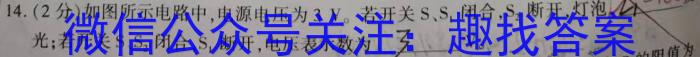 江西省全区2024年初中学业水平适应性考试（五）物理试卷答案