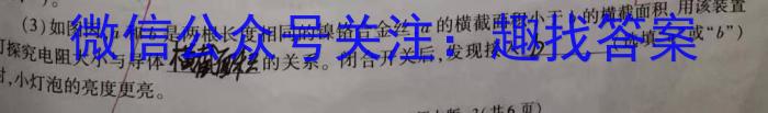 2024年河南省普通高中毕业班高考适应性练习(3月)物理试卷答案