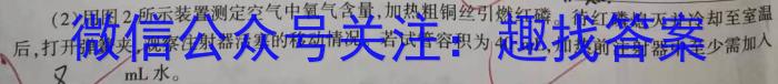 考阅评·大联考 2024年秋季广西示范性高一期中考调研化学