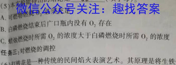 【精品】天一大联考 2023-2024学年(下)安徽高二3月份质量检测化学