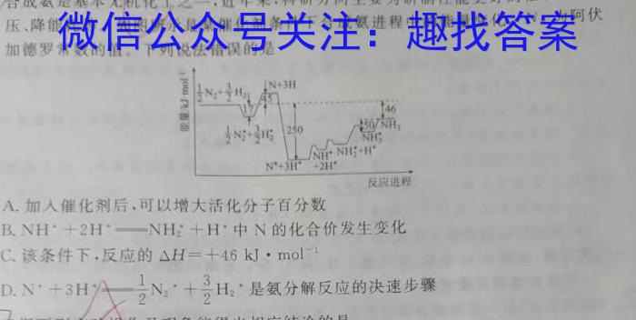 内蒙古2024届高三3月考试（铃铛）数学