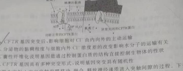 衡水名师卷 2024年高考模拟调研卷(老高考◆)(三)3生物学部分