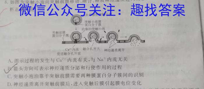 神州智达 2023-2024高三省级联测考试 质检卷Ⅱ(三)生物学试题答案