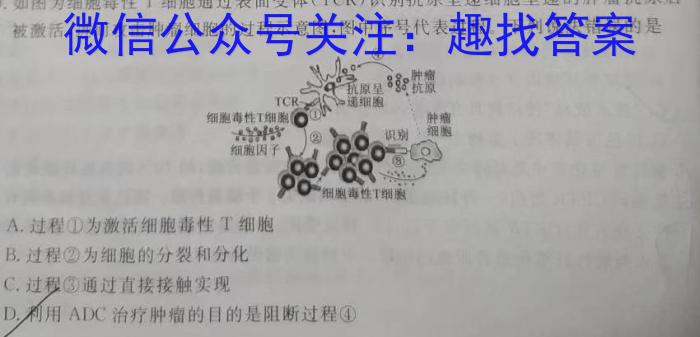 陕西省2024-2025年度高一年级入学调研考试数学