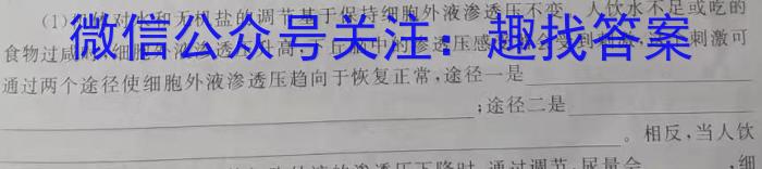 陕西省2023-2024学年度下学期高一年级开学收心考试数学