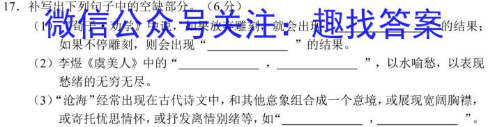 河南省2023~2024学年度九年级综合素养评估(四)R-PGZX C HEN语文