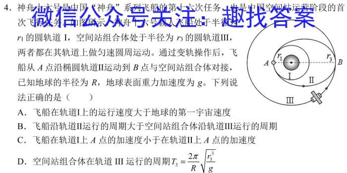 2024河南中考仿真模拟试卷(十)物理`