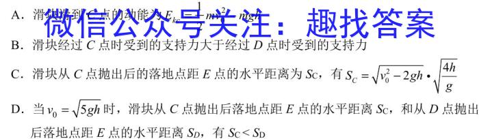 海淀八模 2024届高三模拟测试卷(六)6物理