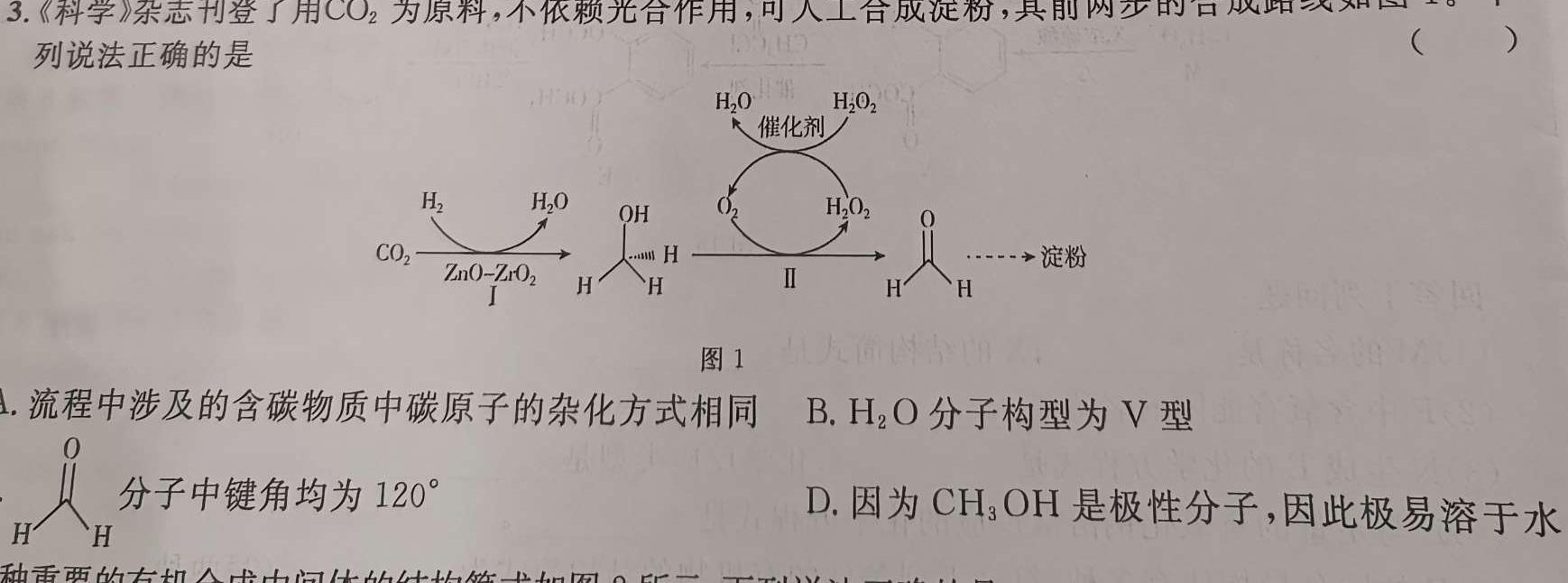 【热荐】山东省枣庄2023-2024学年第一学期高三质量检测(2024.01)化学