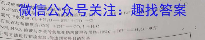 安徽省2023-2024学年砀山五中八年级期末检测化学