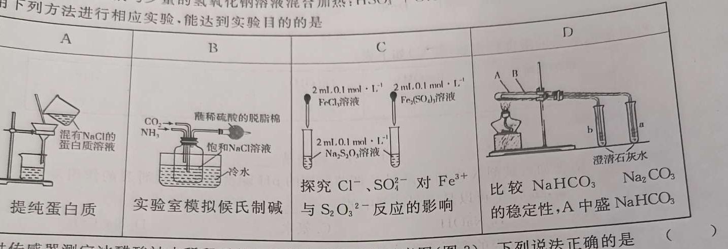 【热荐】江西省吉安市吉州区2023-2024学年第一学期八年级期末检测化学