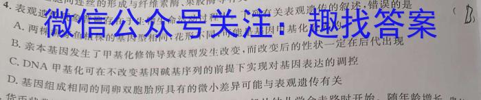 2024普通高等学校招生全国统一考试临门一卷(一)数学