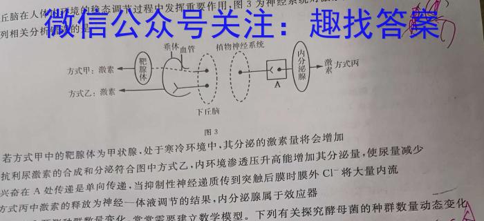 昆明市2024届"三诊一模"高三复习教学质量检测英语