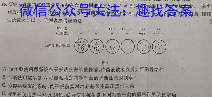 2024年陕西省九年级学业水平质量检测（☆）数学