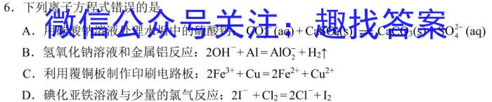 上进联考 2024-2025学年高二年级10月阶段检测数学