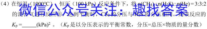 吉林省2024届朝阳区七校九年级适应性练习化学