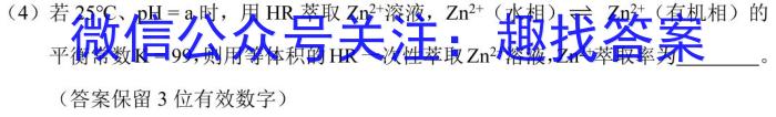 2024年陕西省初中学业水平考试·临考冲刺卷（C）化学