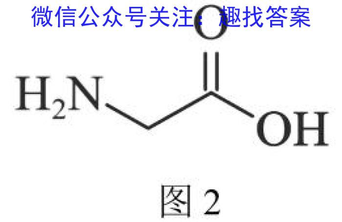 q文博志鸿·河南省2023-2024学年第一学期八年级期末教学质量检测（B）化学