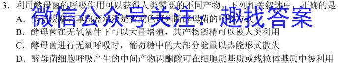 云南省巧家县2024年春季学期高二年级期末统一质量监测(24-590B)数学