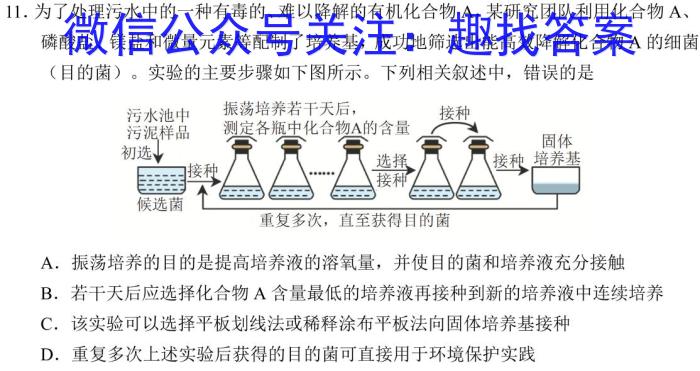 普高大联考山东新高考联合质量测评3月联考试题(2024.3)英语