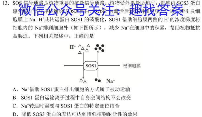 河北省2024届高三学生全过程纵向评价(五)5数学