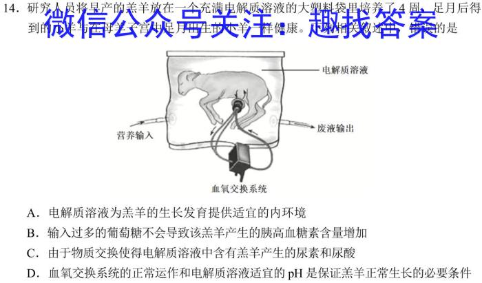 黑龙江省建新高中2024-2025学年高二上暑假验收生物学试题答案