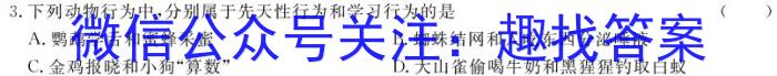 2024年山西省初中学业水平测试信息卷（一）英语