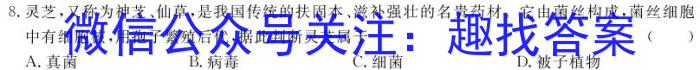 2024年河北省初中毕业生升学文化课学情反馈（冲刺型）数学