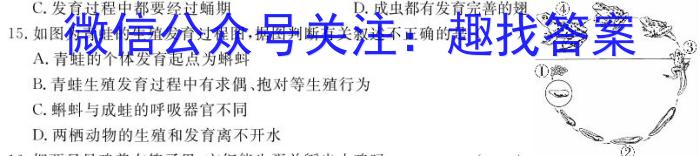 安徽省2024年中考总复习专题训练