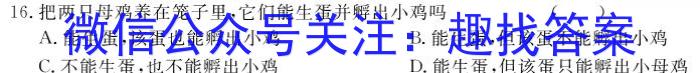 ［济南三模］济南市2024届高三适应性考试数学