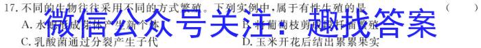 2025届广东省高三8月联考(25-02C)数学