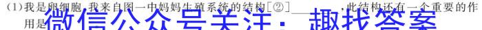 三晋卓越联盟·山西省2023-2024学年高二5月质量检测卷数学