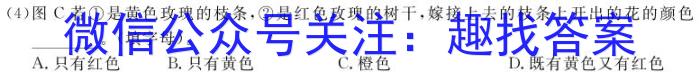 河南省漯河市2023-2024学年度七年级上期期末学业质量评估数学