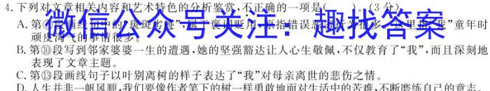 2023-2024学年江西省高二6月联考(无标识)语文