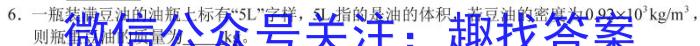 广东省清远市清城区2025届九年级开学前摸底考试物理`