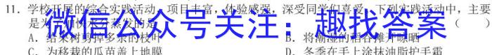 2024届安徽省高考适应性训练卷物理试卷答案