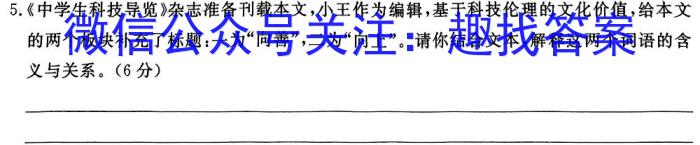 2023年河池市秋季学期高二年级期末教学质量统一测试/语文