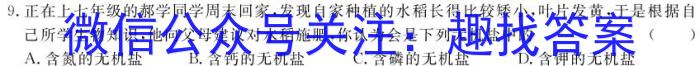 辽宁省2024年1月葫芦岛市高二普通高中学业质量监测考试生物学试题答案