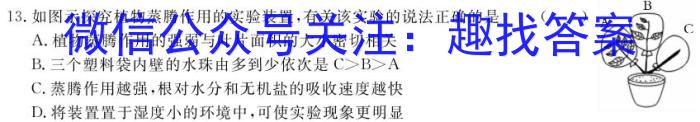 鼎成原创模考 2024年河南省普通高中招生考试双基夯实卷(二)2数学