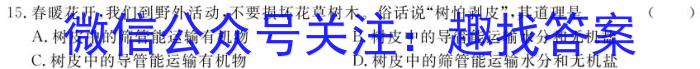 安徽省埇桥区教育集团2023-2024学年度第二学期七年级期中学业质量检测生物学试题答案