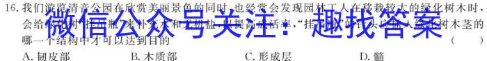 安徽省淮北市2023-2024学年度八年级第二学期期末质量检测生物学试题答案