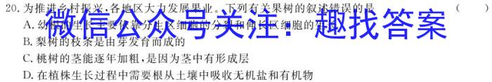 山西省八年级2023-2024学年第二学期期末教学质量检测与评价数学